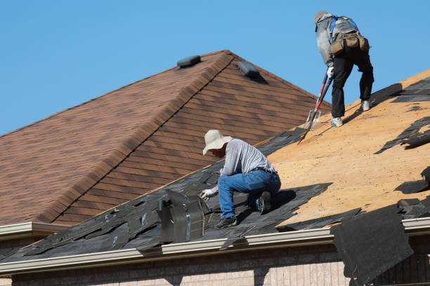 Best Roof Leak Repair  in Belgrade, MT